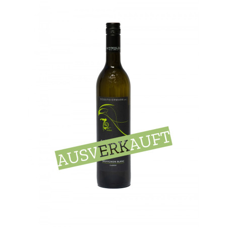 Sauvignon Blanc classic DAC 2024